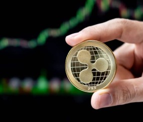 网页版登录入口-专家称XRP将在年底冲破350美元，引发引发关注