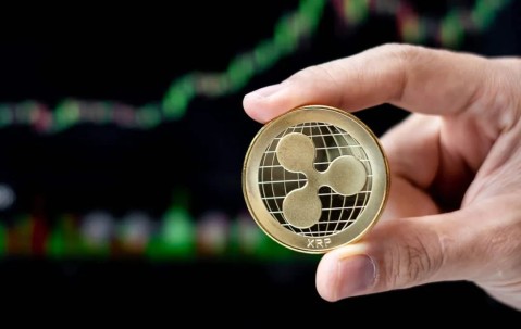 网页版登录入口-专家称XRP将在年底冲破350美元，引发引发关注
