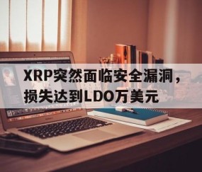中国九游体育-XRP突然面临安全漏洞，损失达到LDO万美元的简单介绍