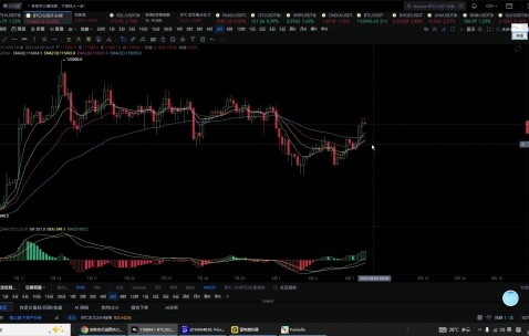 APP下载-包含MATIC冲破494美元价位，上涨周期是否已经开启？的词条